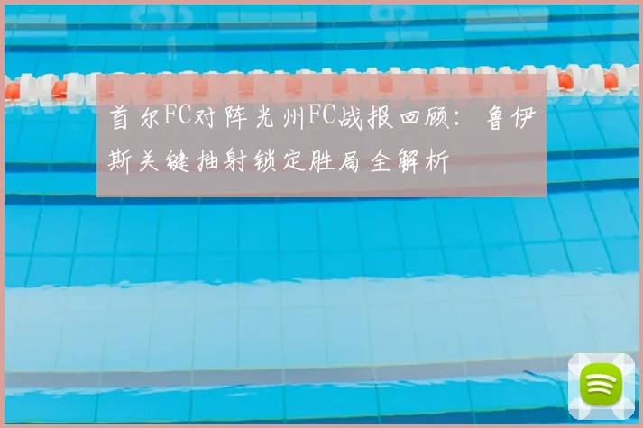首尔FC对阵光州FC战报回顾：鲁伊斯关键抽射锁定胜局全解析