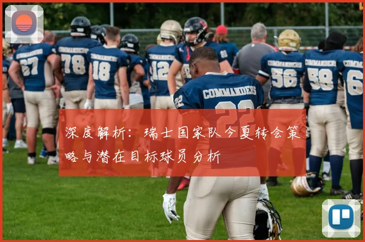 深度解析:瑞士国家队今夏转会策略与潜在目标球员分析